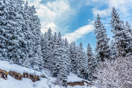 Bold Climate Solutions – mandates on industry