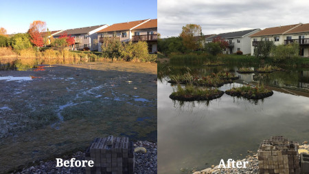 Before and After RAM